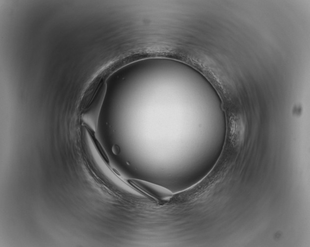 X0000097900684200803211442