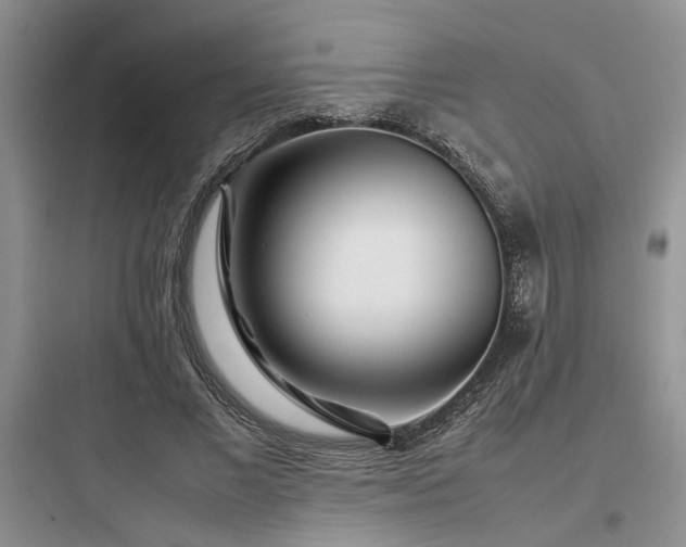 X0000097900685200803211442