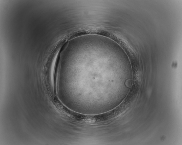 X0000097900687200803211442
