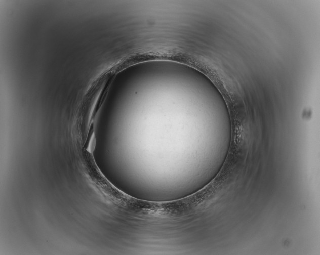 X0000097900688200803211442