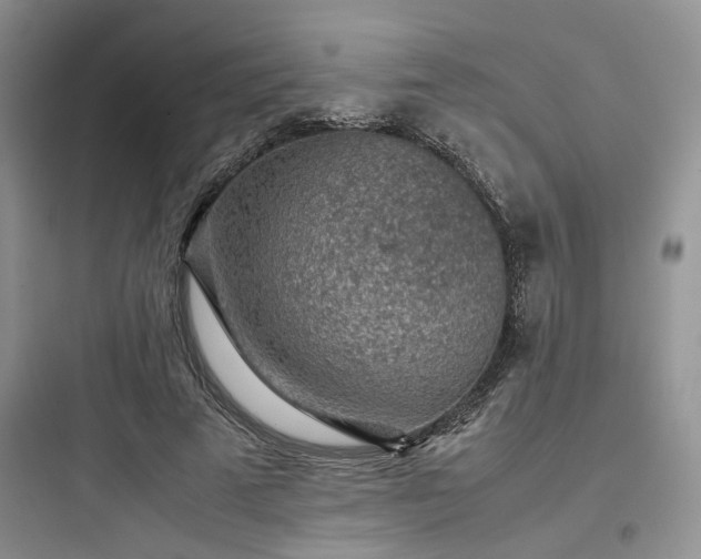 X0000097900689200803211442