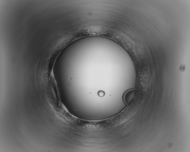 X0000097900690200803211442