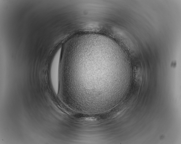 X0000097900692200803211442