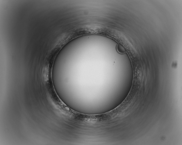 X0000097900694200803211441