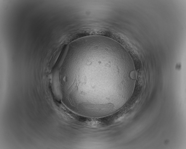 X0000097900695200803211441