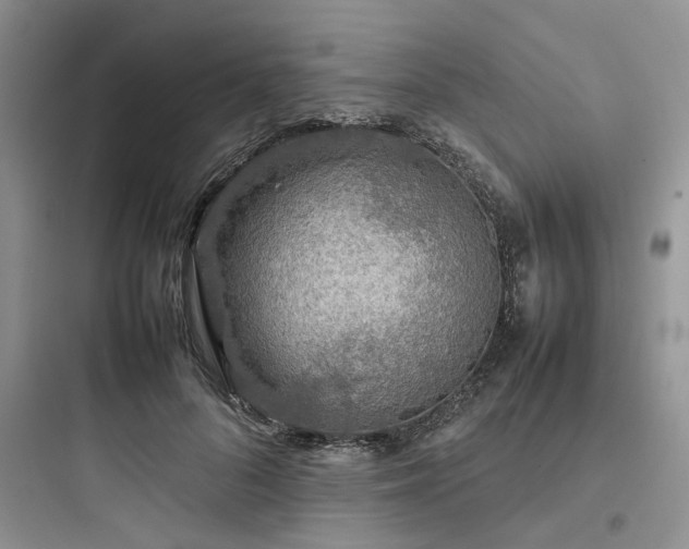 X0000097900696200803211441