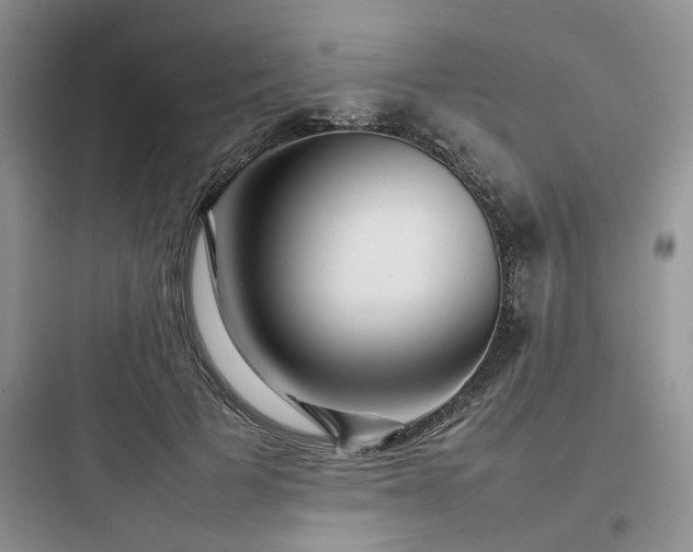 X0000097900697200803211441