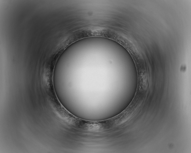 X0000097900698200803211441