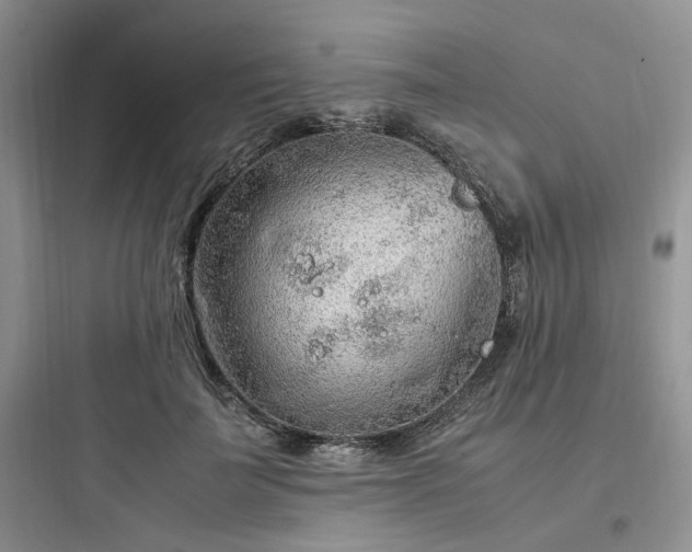 X0000097900699200803211441