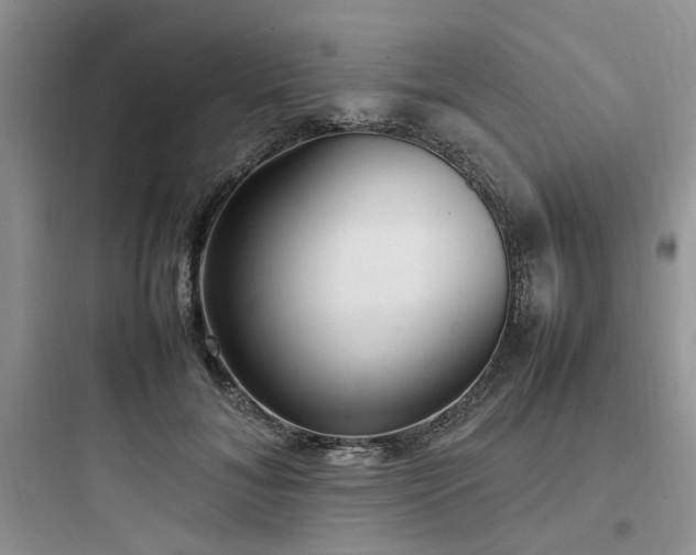 X0000097900700200803211441