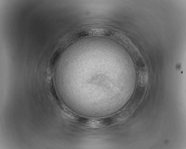 X0000097900701200803211441