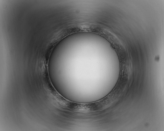 X0000097900702200803211441
