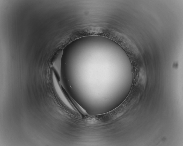 X0000097900704200803211441