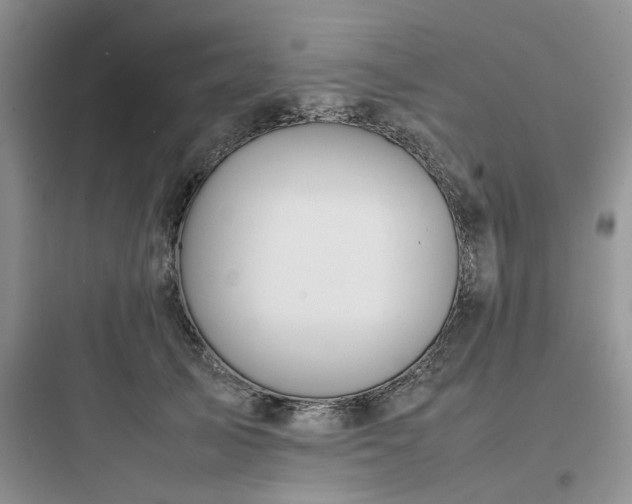 X0000097900705200803211441