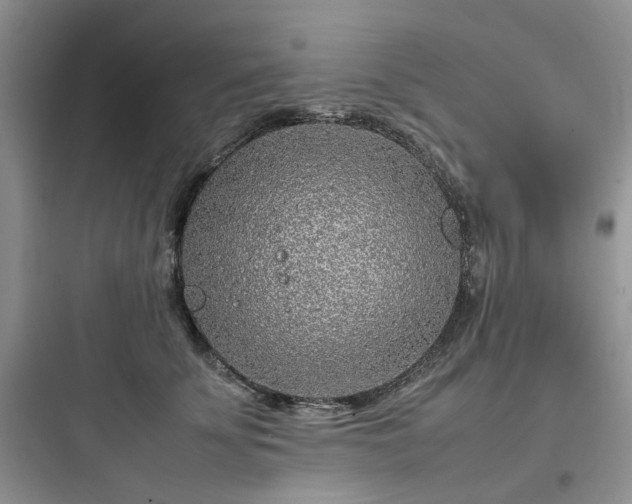 X0000097900707200803211441