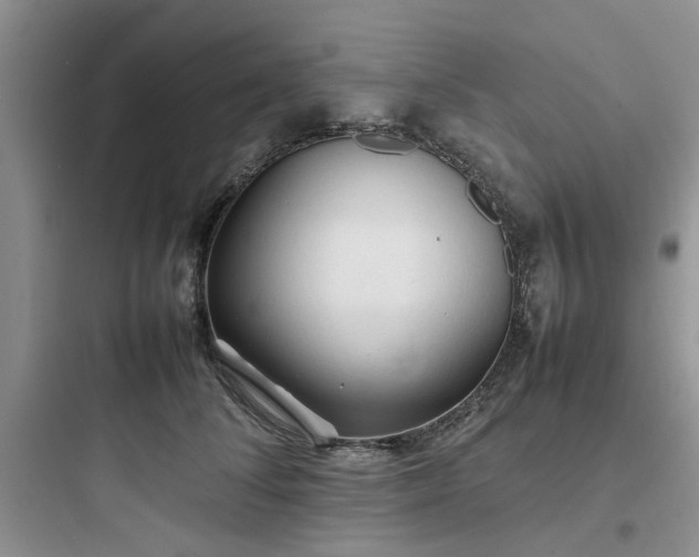 X0000097900708200803211441
