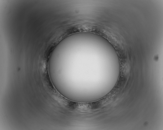 X0000097900709200803211441