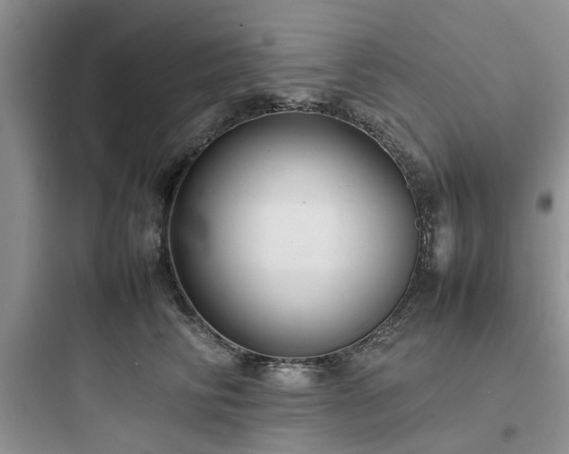 X0000097900710200803211441