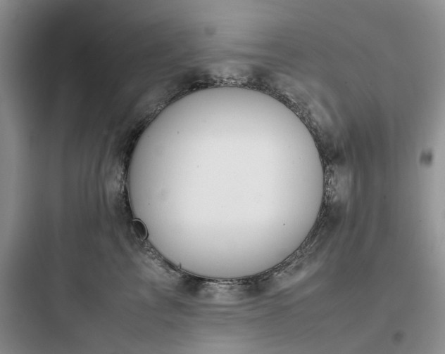 X0000097900713200803211441