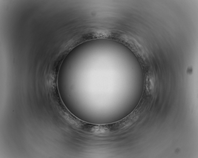 X0000097900714200803211441