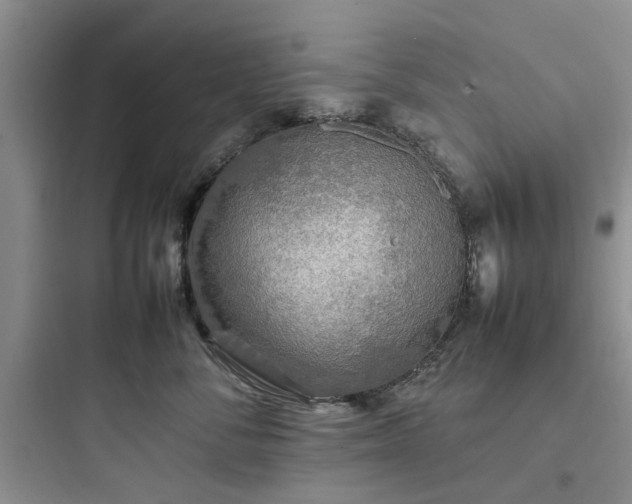 X0000097900716200803211441