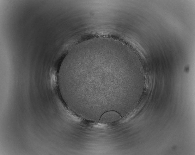 X0000097900718200803211441