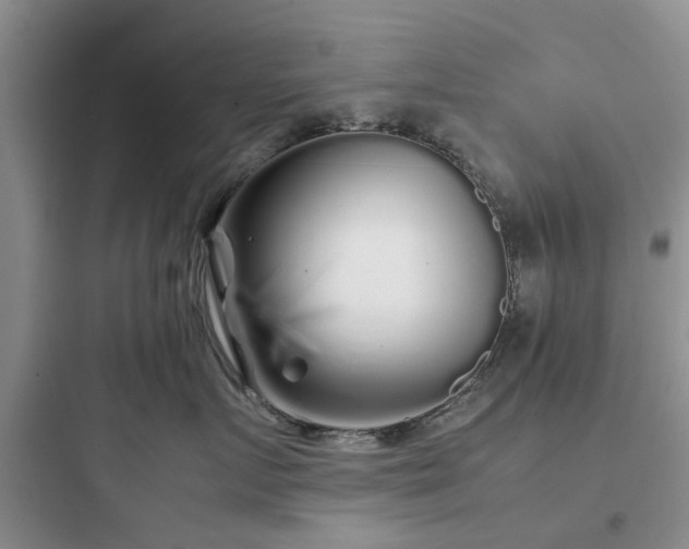 X0000097900719200803211441