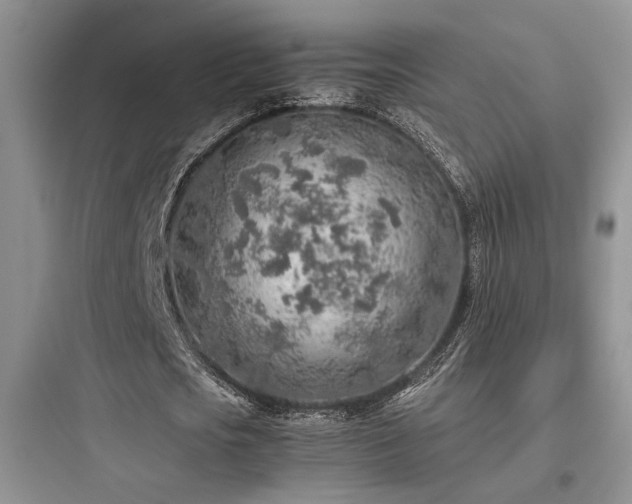 X0000097900721200803211440