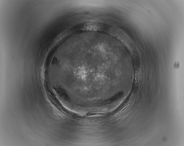 X0000097900722200803211440