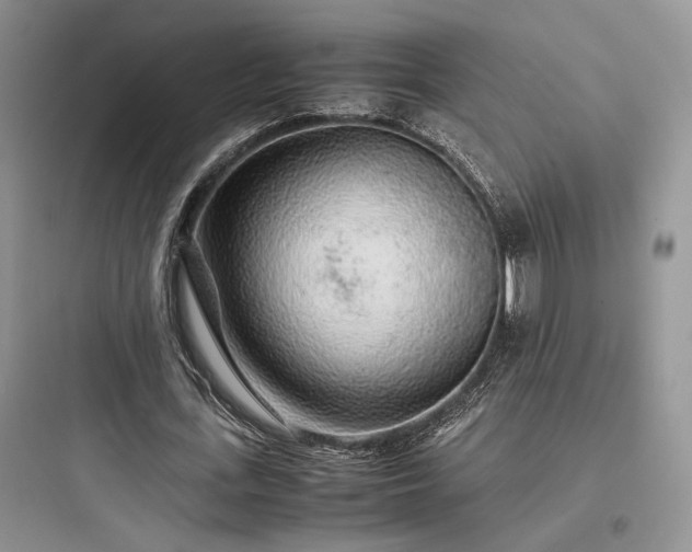 X0000097900723200803211440
