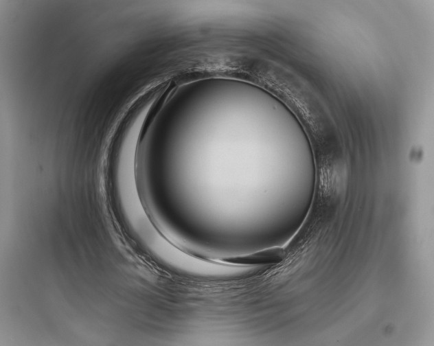 X0000097900724200803211441