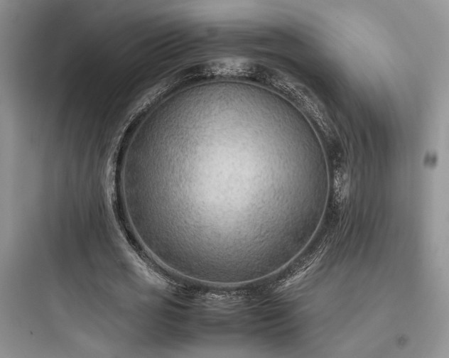 X0000097900725200803211441