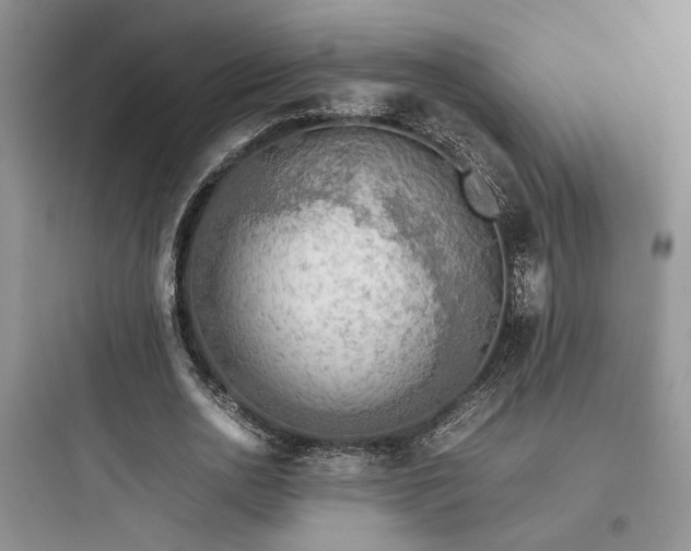 X0000097900726200803211441