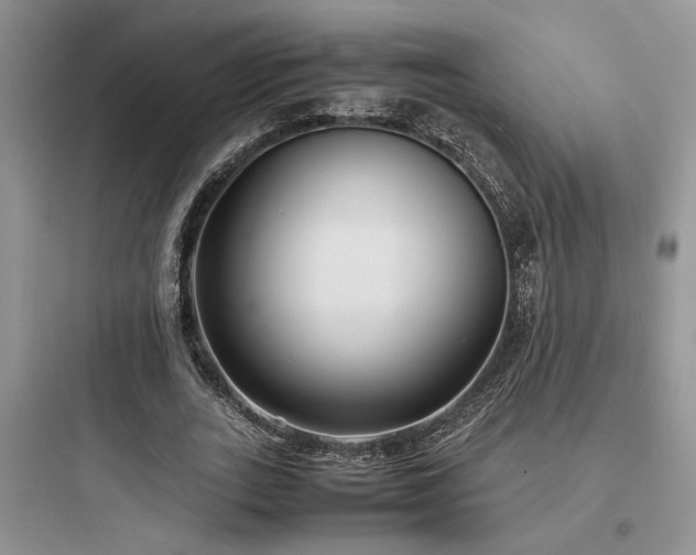 X0000097900727200803211441