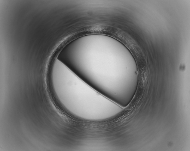 X0000097900728200803211441