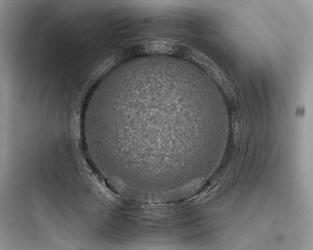 X0000097900729200803211441