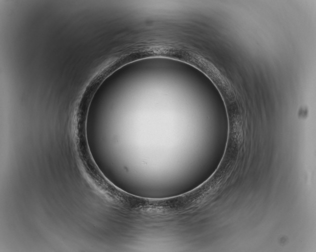 X0000097900730200803211441