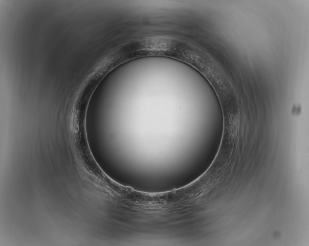 X0000097900731200803211441