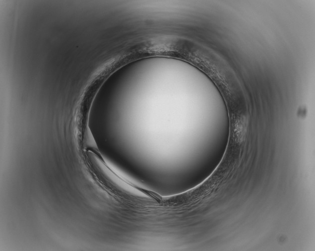 X0000097900732200803211441