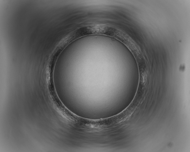 X0000097900733200803211441