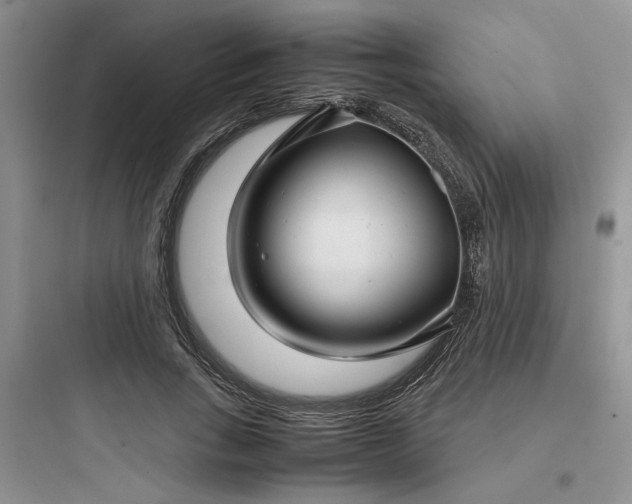 X0000097900735200803211441