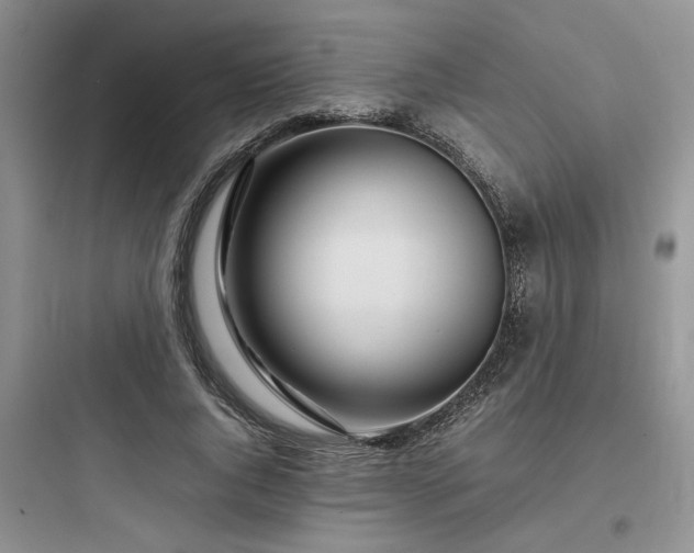 X0000097900736200803211441