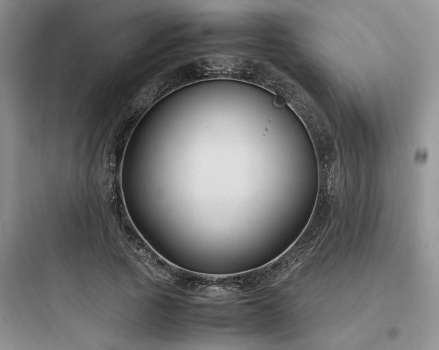 X0000097900737200803211441