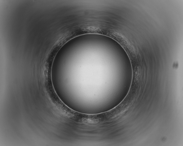 X0000097900739200803211441
