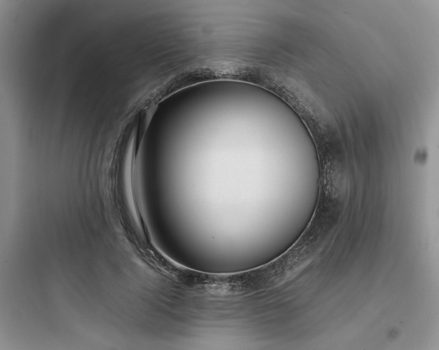 X0000097900740200803211441