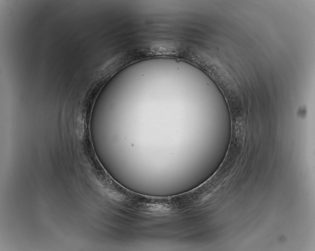 X0000097900741200803211441