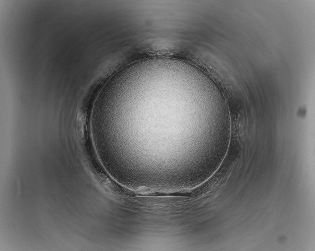 X0000097900742200803211441