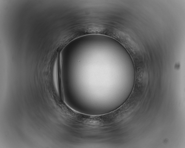X0000097900743200803211441