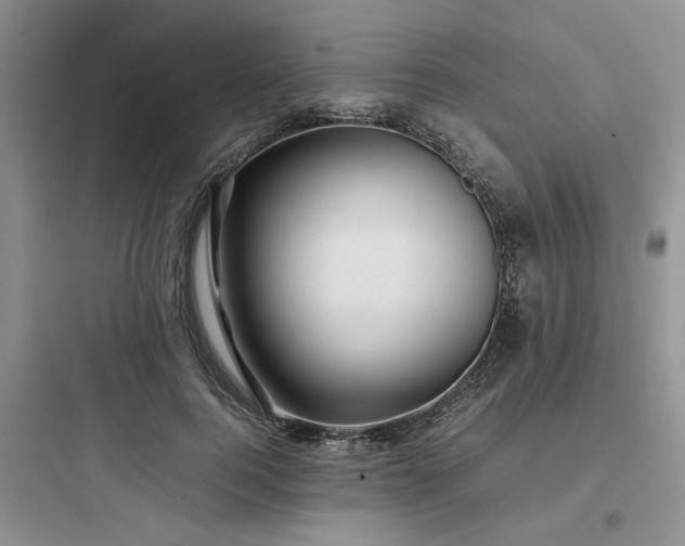 X0000097900744200803211441