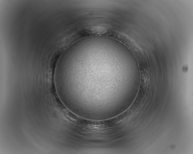 X0000097900745200803211441